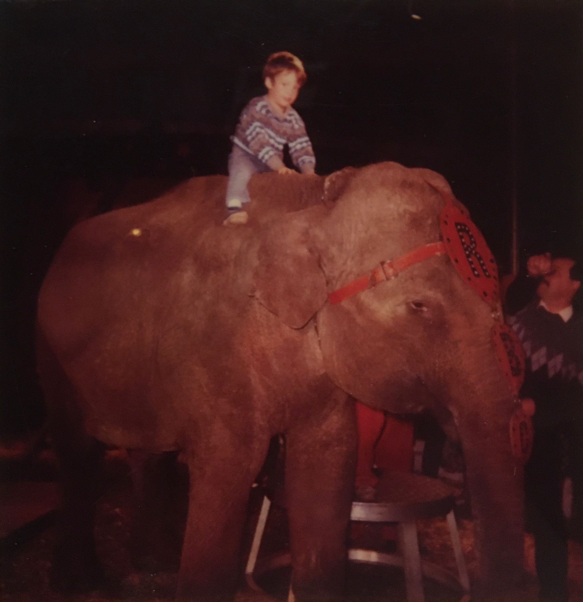A Young Ed Riding an Elephant In The Past